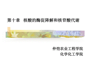 第十章核酸的酶促降解和核苷酸代谢课件.ppt