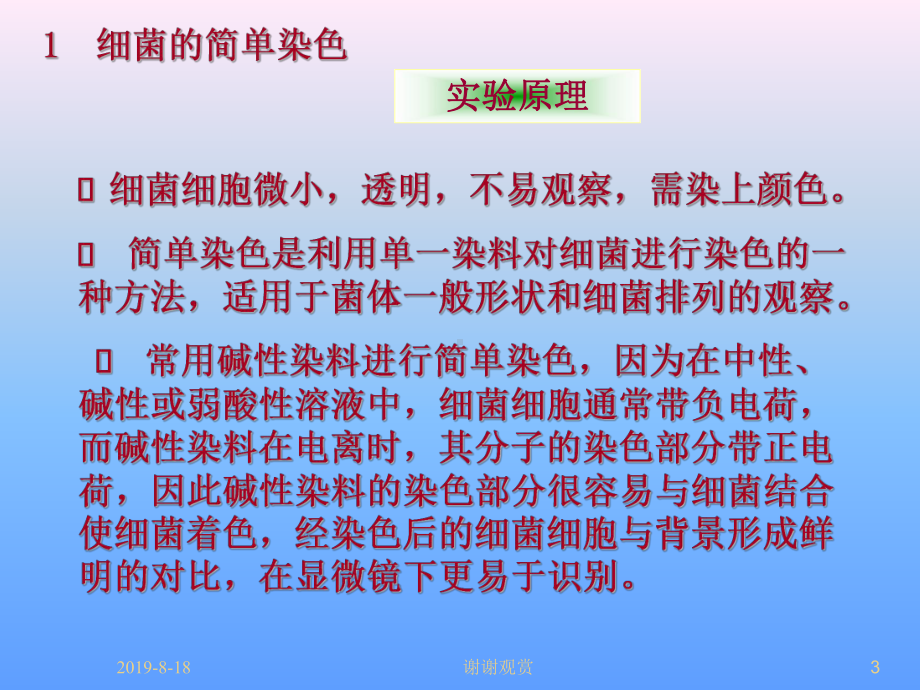 实验细菌的染色课件.ppt_第3页