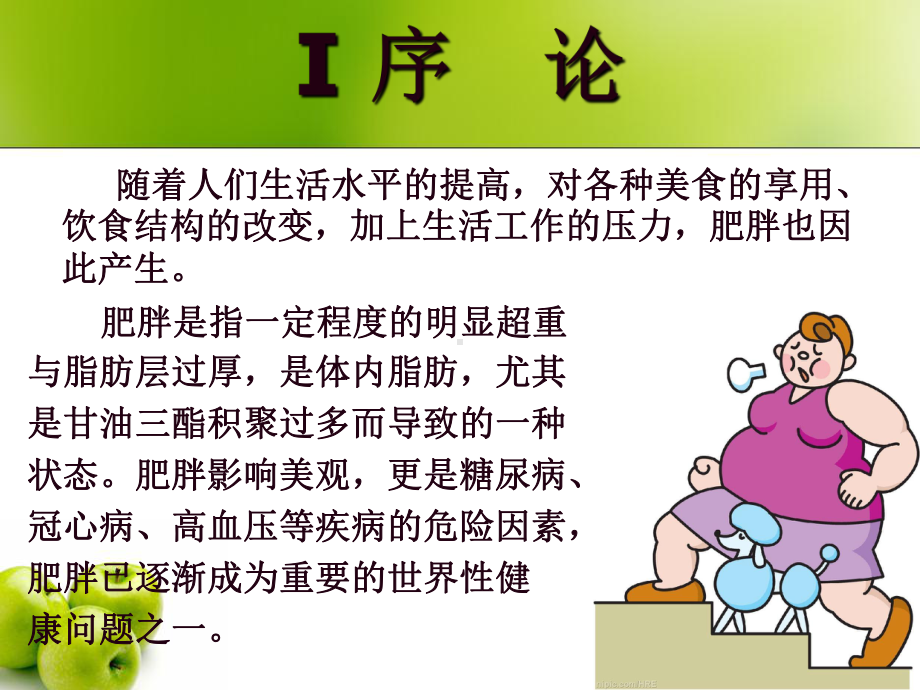 健脾化痰药膳减肥的作用机理探讨课件.ppt_第2页