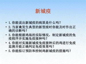 禽病新城疫课件.ppt