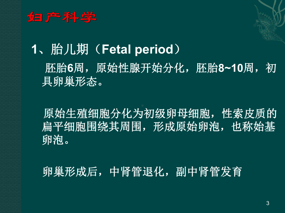 女性生殖系统生理1课件.ppt_第3页