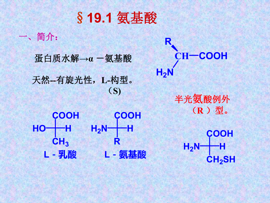 蛋白质的二级结构课件.ppt_第3页