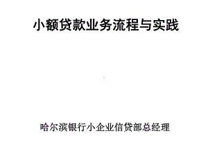 小额贷款业务流程与实践课件.ppt