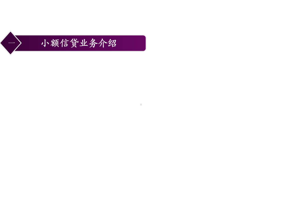 小额贷款业务流程与实践课件.ppt_第2页