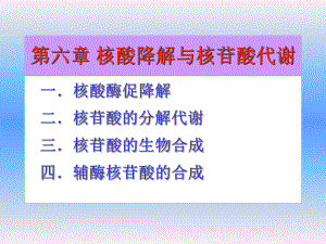 核酸降解与核苷酸代谢课件讲义.ppt