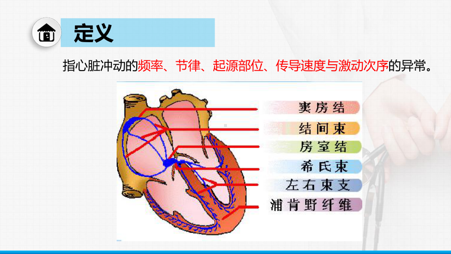 循环系统心律失常心内科课件.pptx_第2页