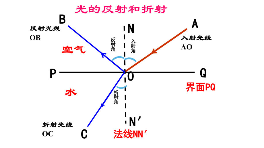 七下科学期末复习(三)—光的反射与折射课件.pptx_第3页