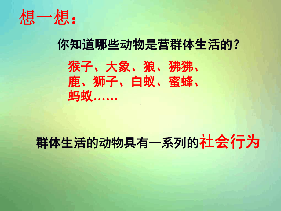 人教版八年级上册第三节社会行为4课件.ppt_第2页