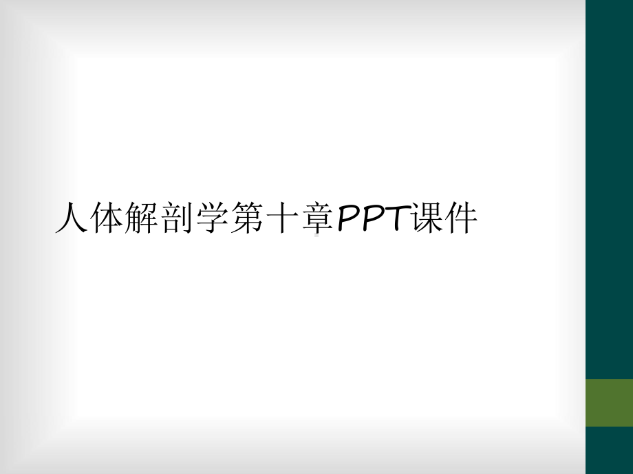 人体解剖学第十章课件.ppt_第1页