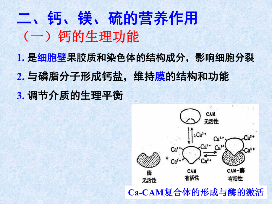 土壤与植物的钙、镁、硫及钙、镁、硫肥课件.ppt_第3页