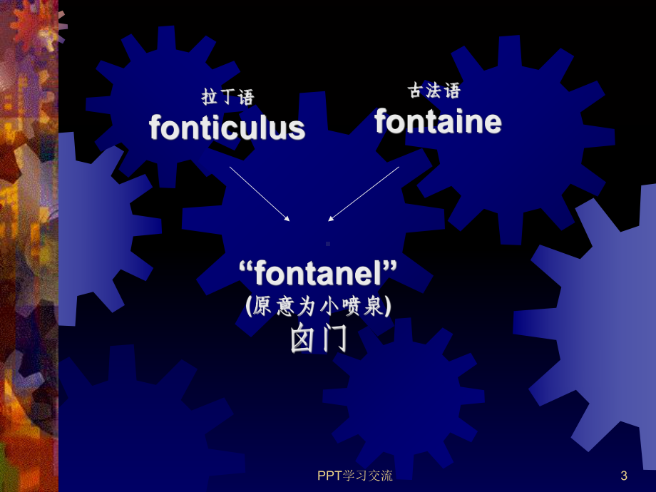 囟门发育的临床意义课件.ppt_第3页