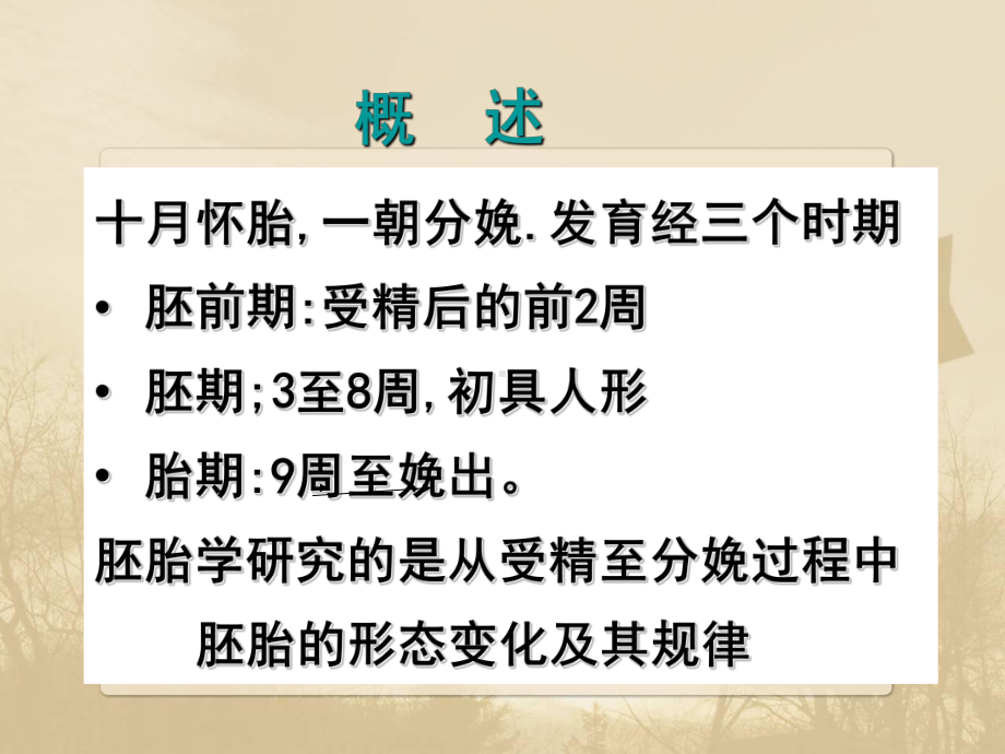 第十三章人体胚胎学概要课件.ppt_第2页