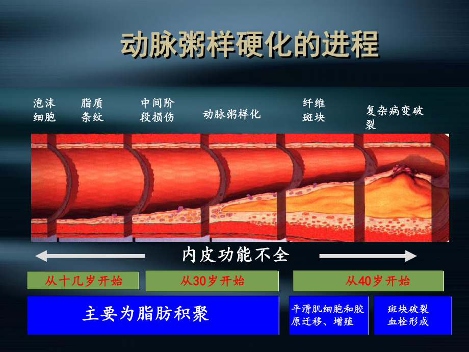 爱爱医资源冠状动脉粥样硬化性心脏病课件.ppt_第3页