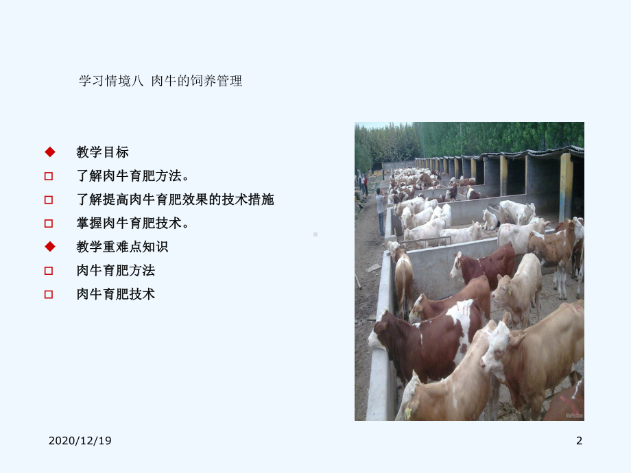 学习情景八肉牛饲养管理课件.ppt_第2页