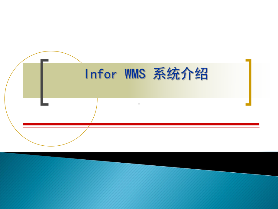 产品介绍(InforWMS系统)课件.ppt_第1页