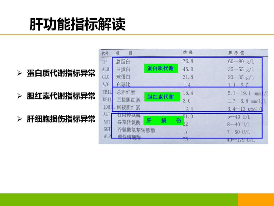 新版肝功能指标解读资料课件.pptx_第2页