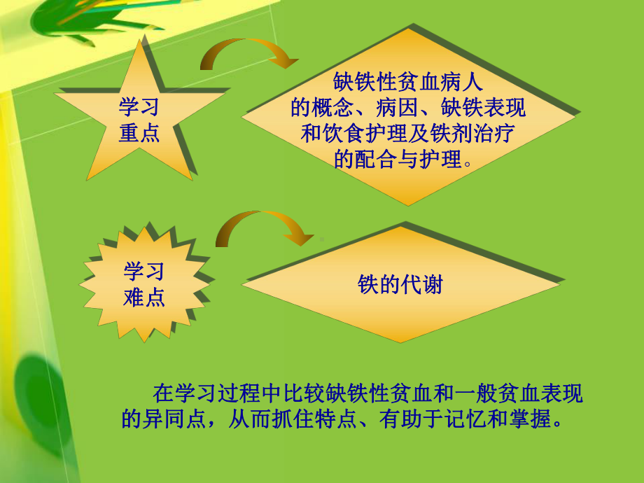 第二节贫血病人的护理课件.ppt_第2页