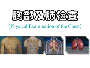 胸部及肺查体1课件.ppt