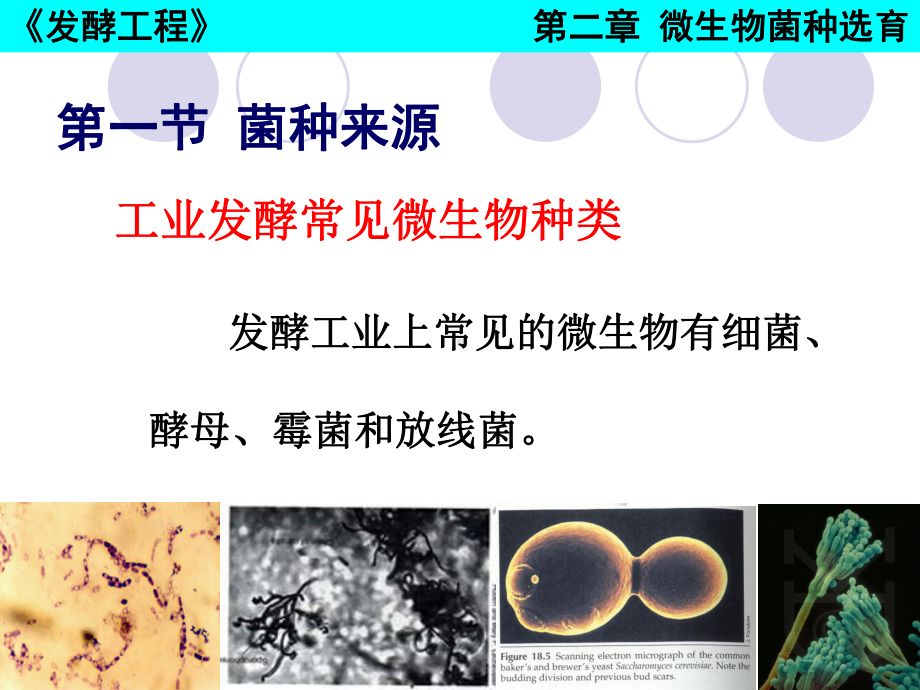 微生物菌种课件.ppt_第3页