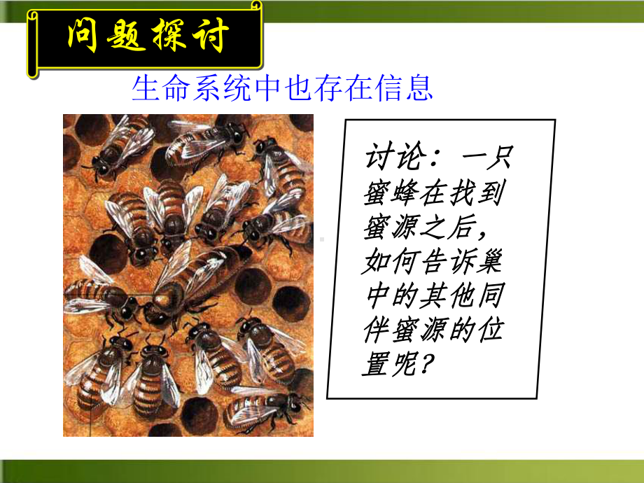 （人教教材）生态系统教研课件.ppt_第3页