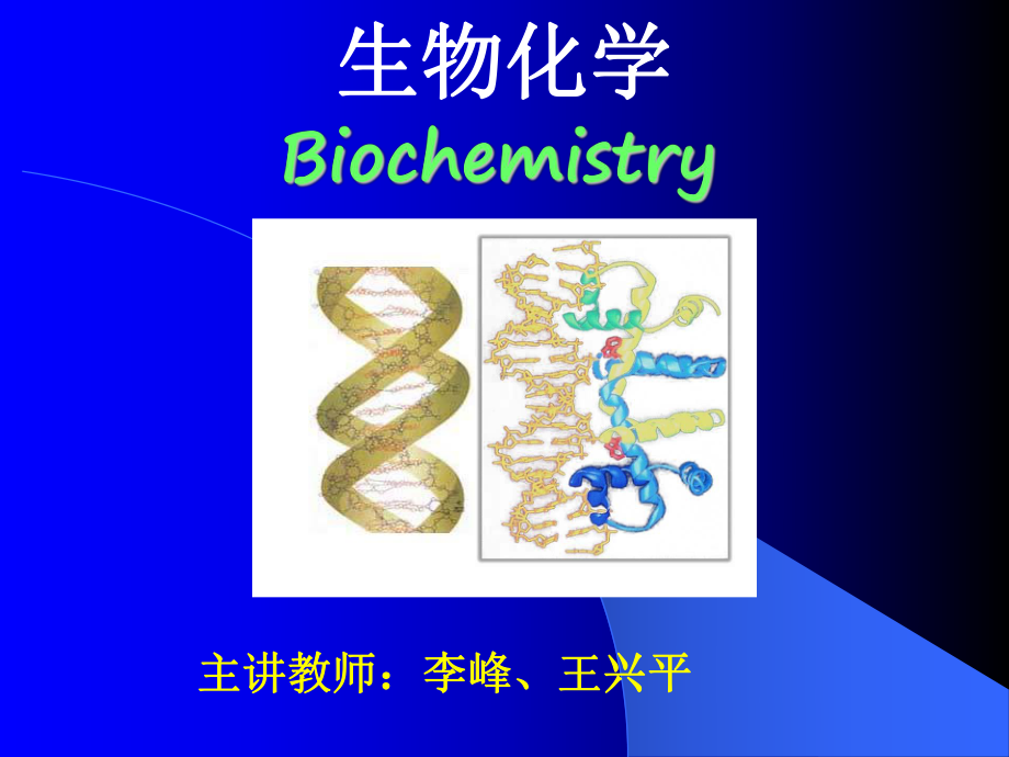 第1章生物化学绪论2012课件.ppt_第1页