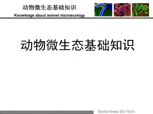 动物微生态基础知1课件.ppt