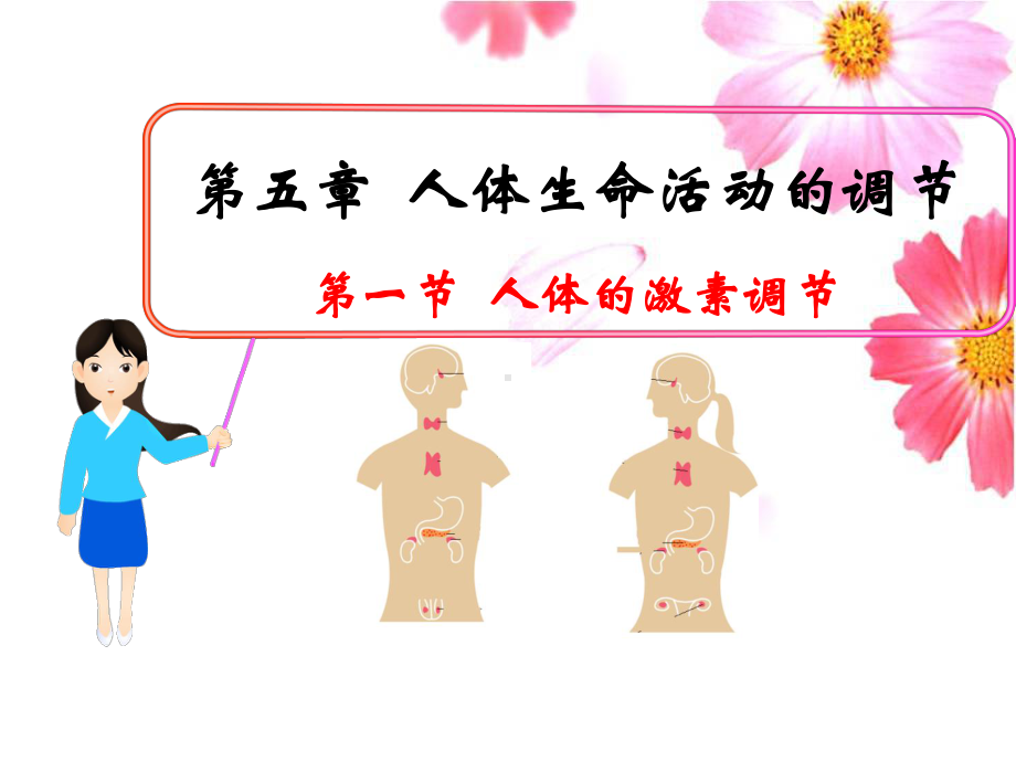 人体的激素调节课件优质课.ppt_第2页