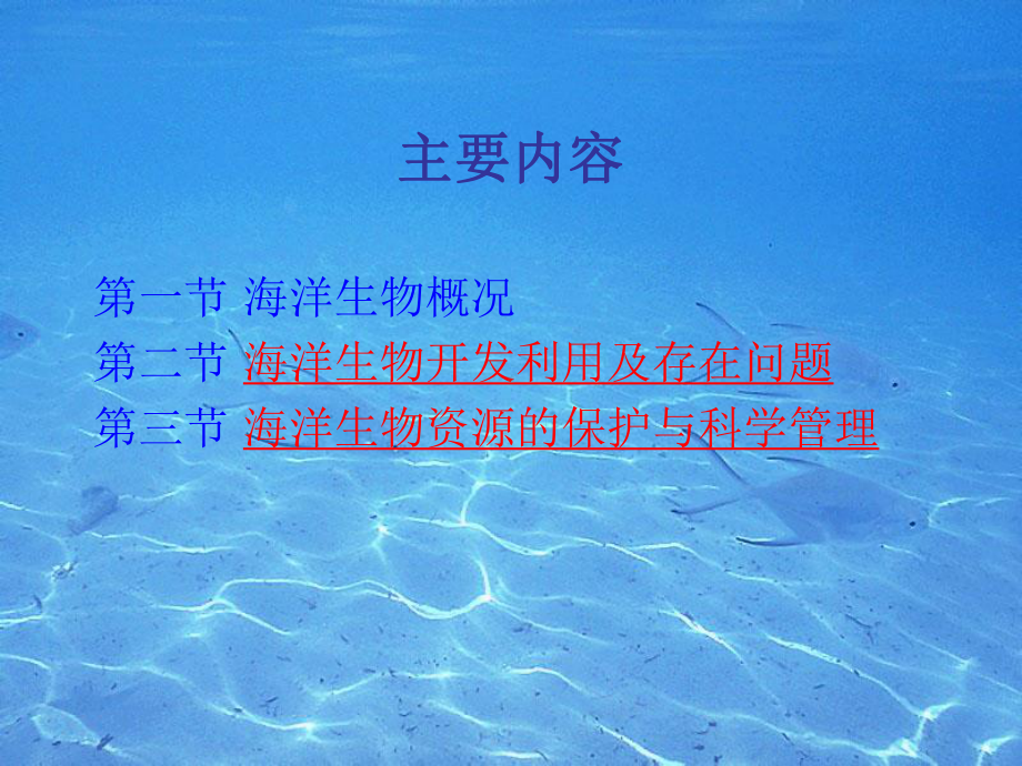 综合开发海洋生物资源课件.ppt_第2页