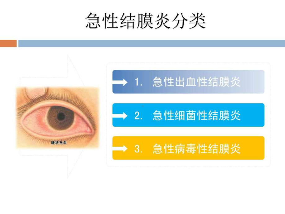 急性出血性结膜炎讲座课件.ppt_第3页