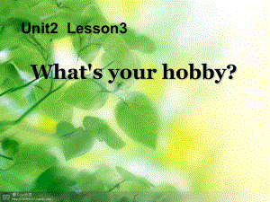 四年级英语上册Unit2Lesson3What’syourhobby课件.ppt（纯ppt,可能不含音视频素材）