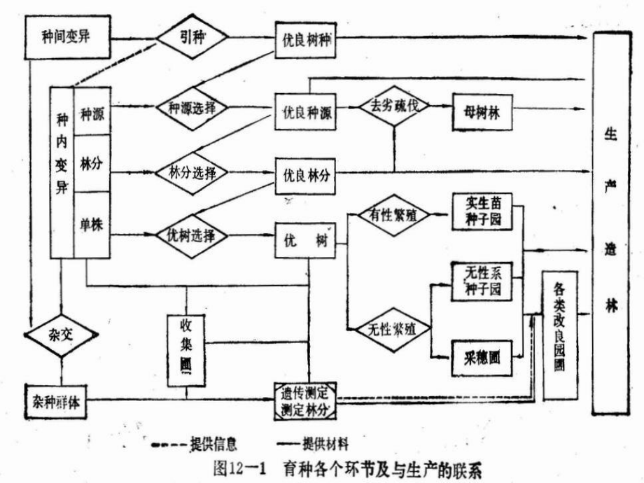 林木育种策略和多世代育种课件.ppt_第3页