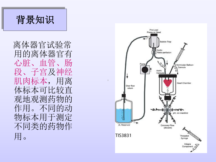 促胃肠动力药物筛选—离体组织武汉大学药学院课件.ppt_第3页