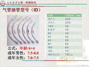 气管插管内吸痰技术完整版课件.pptx