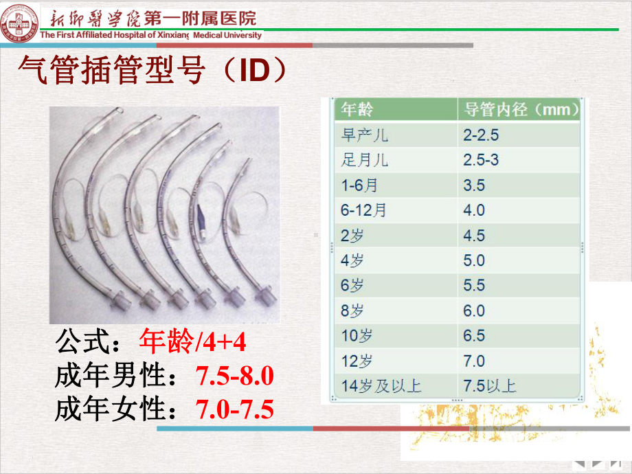 气管插管内吸痰技术完整版课件.pptx_第1页