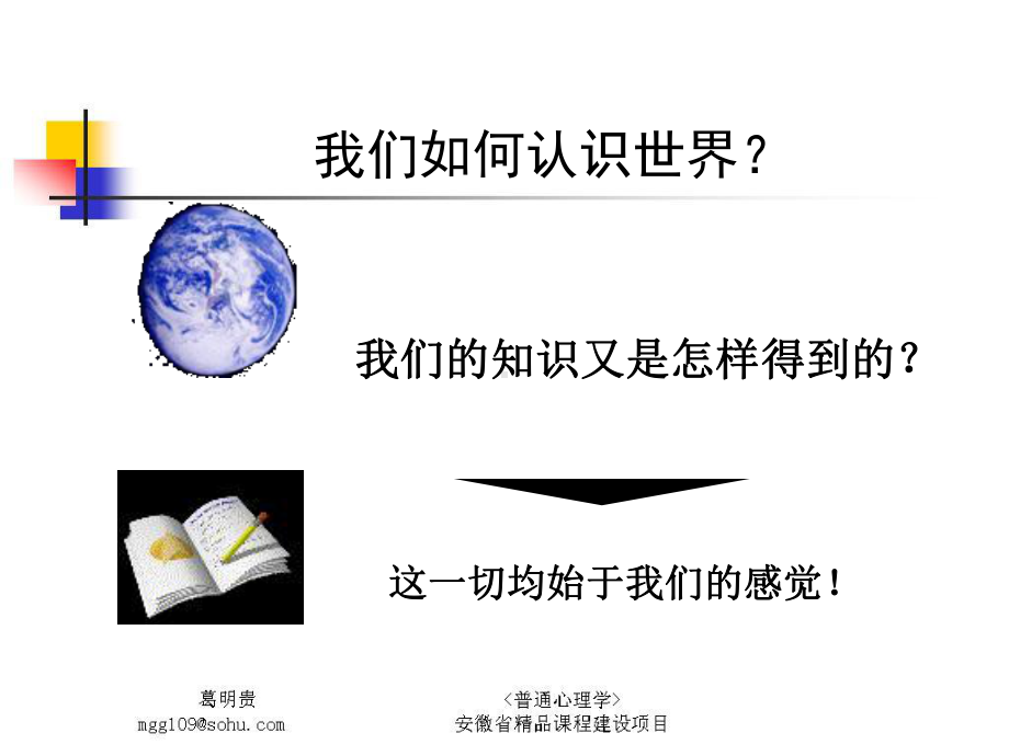 感觉编码理论课件.ppt_第2页