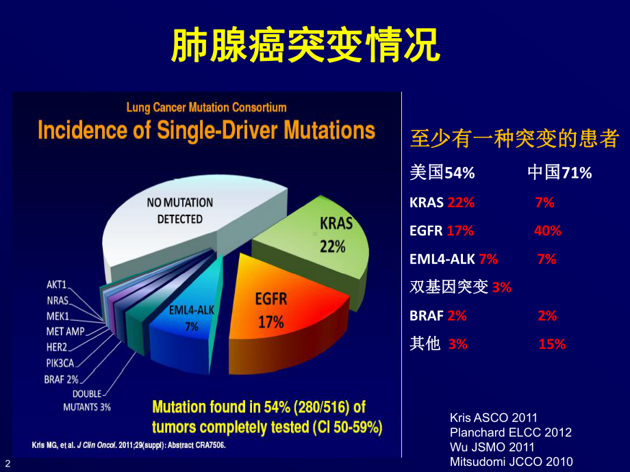 张树才郑州20131227晚期非小细胞肺癌治疗策略的思考课件.ppt_第2页