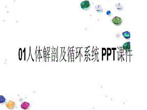 人体解剖及循环系统-课件.ppt