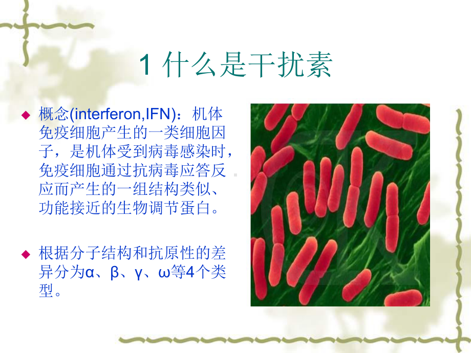 基因工程药物之干扰素的制备流程课件.ppt_第2页