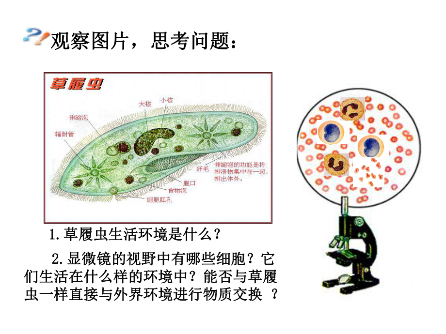 人体的内环境与稳态一课时课件.ppt_第2页