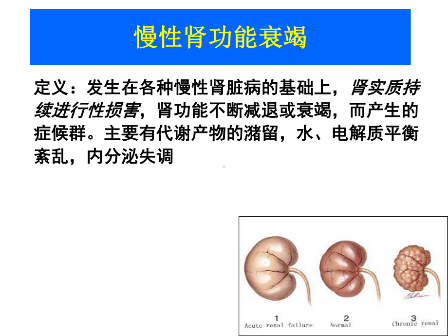 赵晔慢性肾功能衰竭课件.ppt_第3页