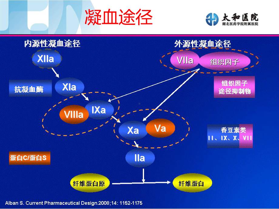 基因检测与华法林个体化给药课件.ppt_第3页