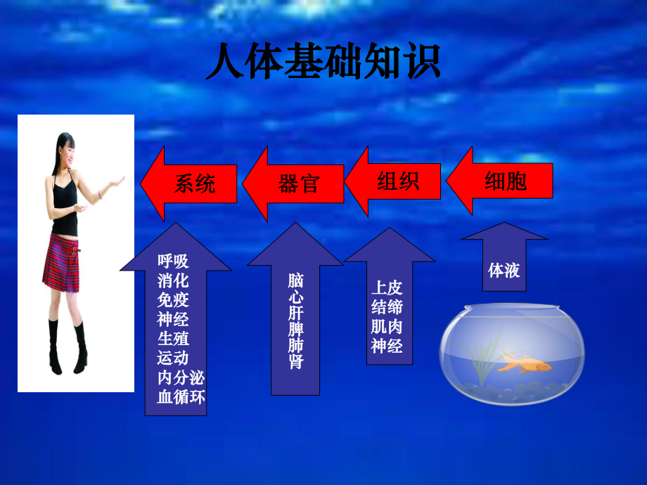 八大系统的快速调理李俞敬课件.ppt_第2页