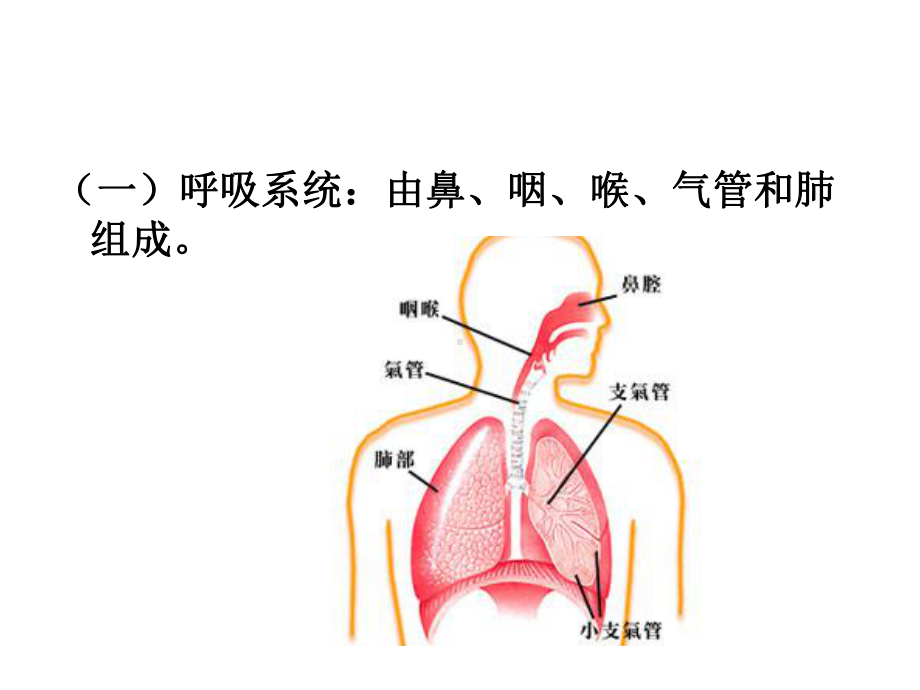 八大系统的快速调理李俞敬课件.ppt_第3页