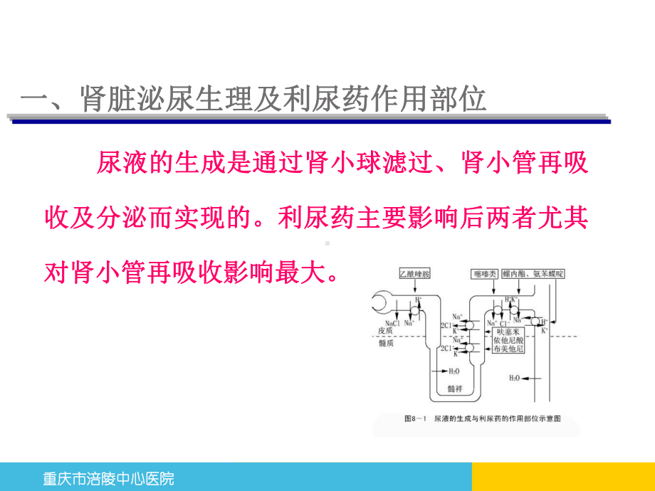 利尿、脱水及降颅压药物课件.ppt_第3页