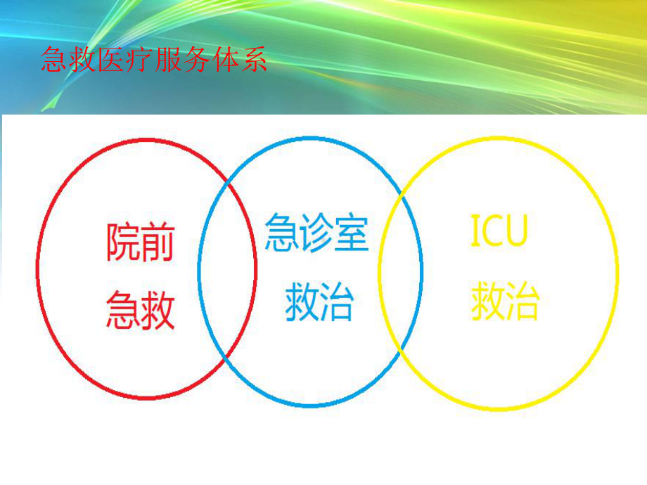 急危重症护理学第二章课件.ppt_第3页