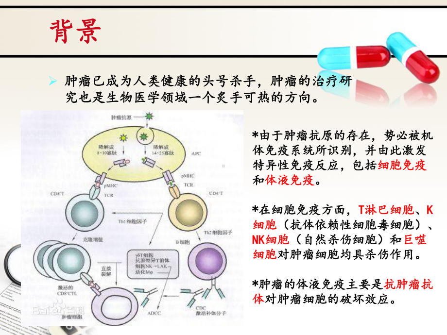 组香菇多糖对荷瘤小鼠胸腺树突状细胞表达的影响课件.ppt_第2页