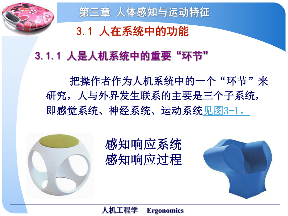 人机工程学Ergonomics人体感知与运动特征课件.ppt_第3页