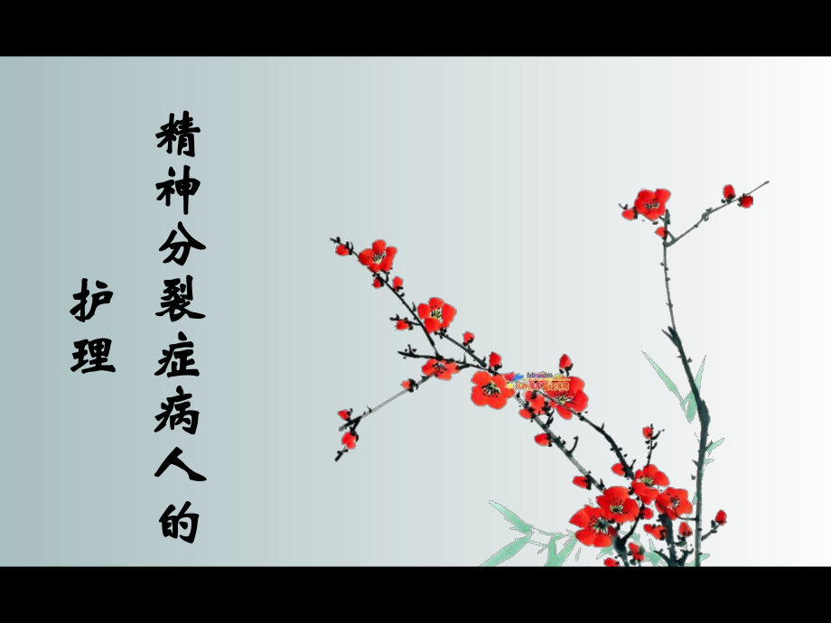 第二节精神分裂症病人的护理课件.ppt_第1页