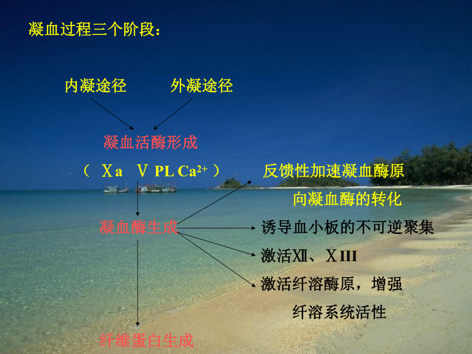 病理生理学9弥散性血管内凝血课件.ppt_第3页