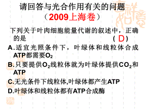 线粒体和叶绿体的结构课件.ppt